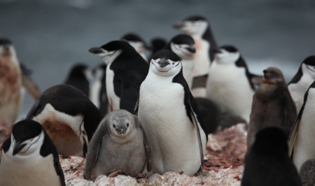 11 recursos, tutoriales y webs sobre Linux para que te animes a dar los primeros pasos