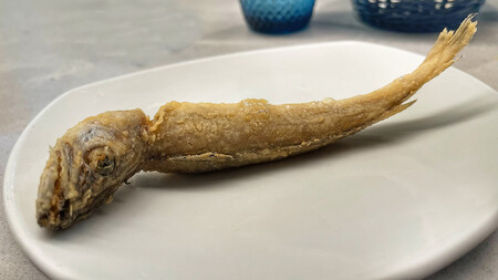 Bar Fm Granada Pijota