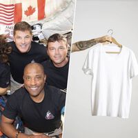 A NASA gastou uma fortuna na Artemis II para acabar usando camisetas como persianas 