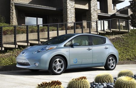 Nissan LEAF cactus