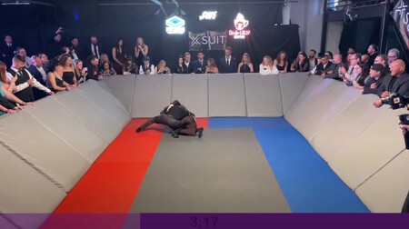 Suitjitsu
