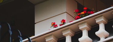 Siete plantas resistentes que llenan de vida jardines, patios y balcones sin sol
