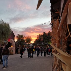 Foto 14 de 45 de la galería fotos-mate-20-mes-de-uso en Xataka