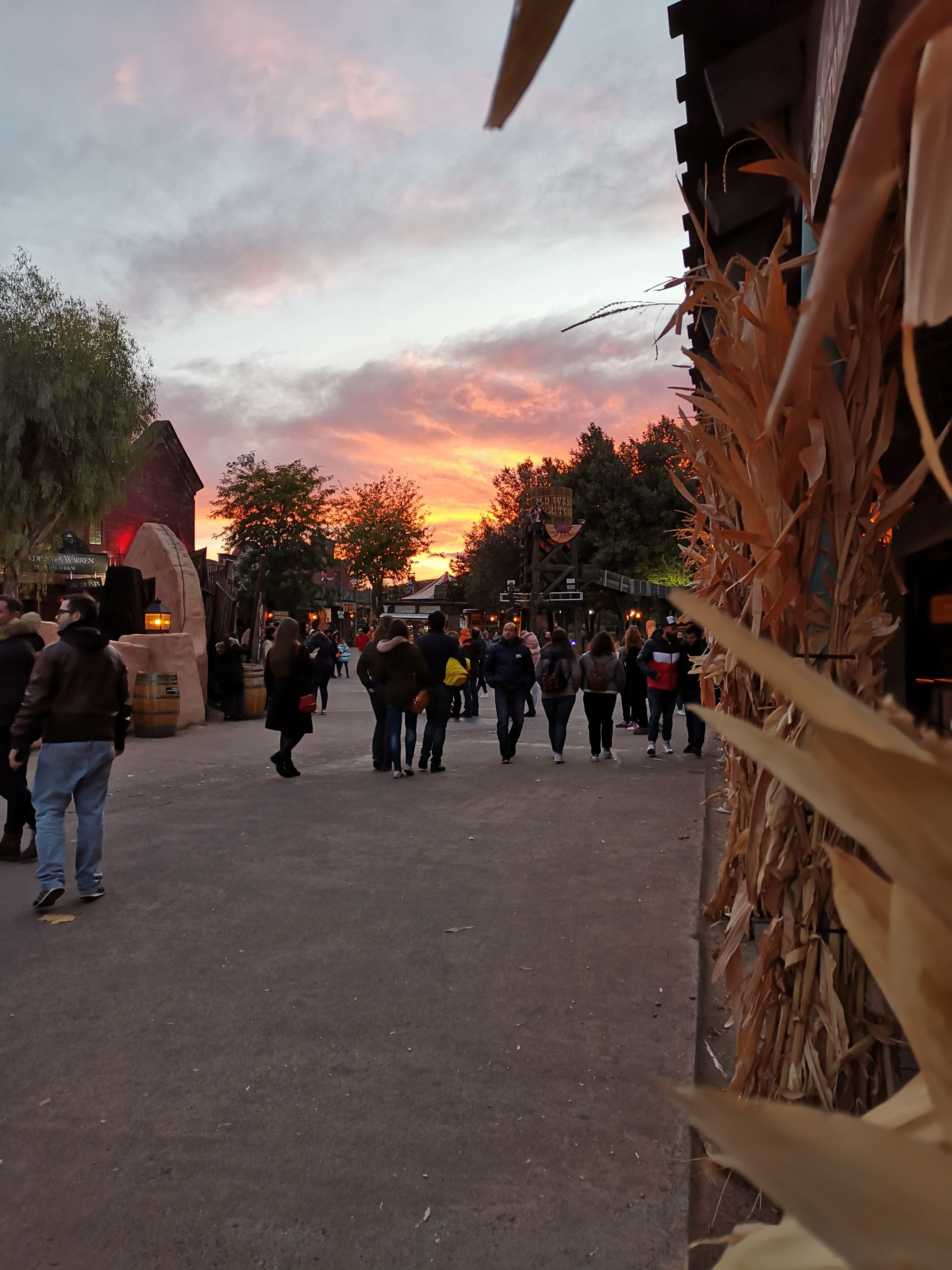 Foto de Fotos Mate 20 (mes de uso) (14/45)