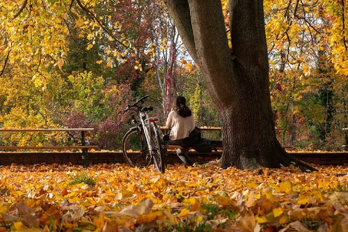 Mulher sentada em parque no outono. Créditos: 	picture alliance /GettyImages