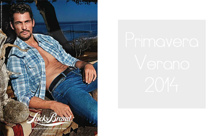 La primavera-verano 2014 a través de cinco campañas