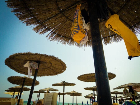 ハライドプロセスゼロで撮影