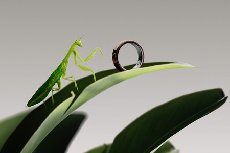 Oura Ring 5 Nature Praying Mantis