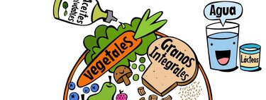 El plato de Harvard para una alimentación saludable en niños 