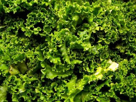 Algunos alimentos saciantes para ayudarnos a perder peso