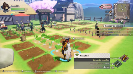 Rune Factory: Guardians of Azuma