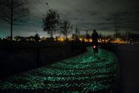 Solo en Holanda puede existir un carril-bici como éste: se ilumina de estrellas por la noche 