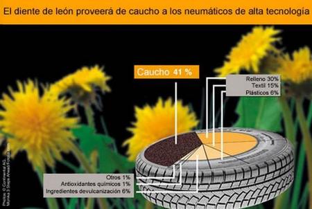 Continental está investigando sobre neumáticos de goma de diente de león