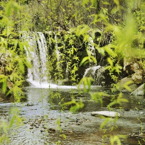 Naturaleza exuberante, ríos y cascadas: el 'Amazonas español' está en Huelva y es un lugar de cuento ideal para perderse y comer el mejor jamón 