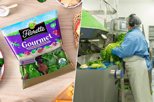 Florette Montaje