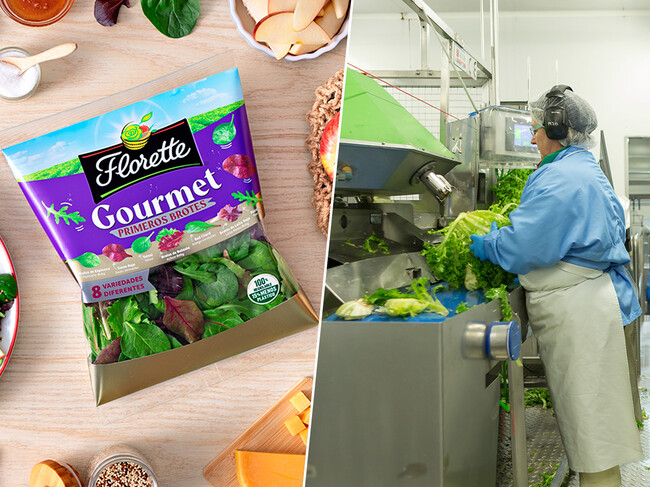 Florette Montaje