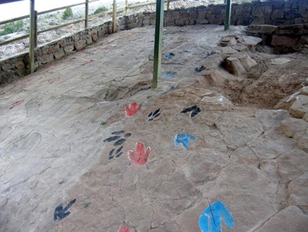 Dinosaurios