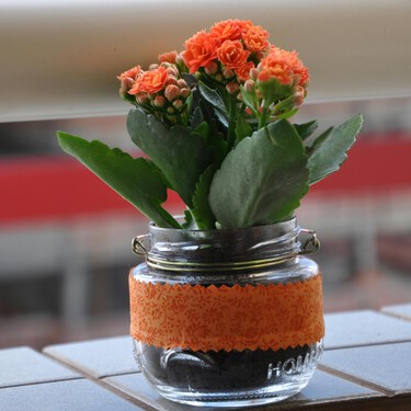 No tires los tarros de cristal vacíos, posees un tesoro: cuatro ideas creativas (y muy fáciles) para reutilizarlos y decorar tu cocina 