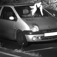 El misterioso caso de la paloma que salvó a un conductor de una multa de radar por exceso de velocidad