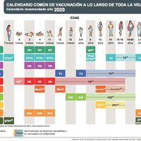 Calendario común de vacunación a lo largo de toda la vida recomendado por Sanidad para el 2020