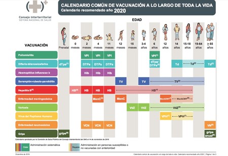 Calendario común de vacunación a lo largo de toda la vida recomendado por Sanidad para el 2020
