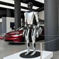 De vender coches por internet a exponer robots humanoides en sus concesionarios: la nueva jugada de Tesla