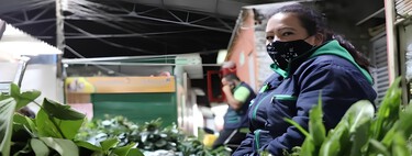 ¿Mercado nocturno en Bogotá? Lo que debes saber de este horario en la mayor plaza de hierbas y plantas de la capital de Colombia 