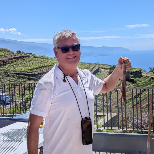 Los marineros secaban este pescado que nadie quería para comerlo de aperitivo. Un restaurante de Málaga lo reivindica ahora como bocado gourmet