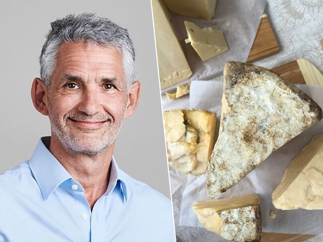 Queso Microbiota Fermentados