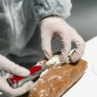 No todo sube: por qué un gramo de cocaína cuesta lo mismo que hace 25 años