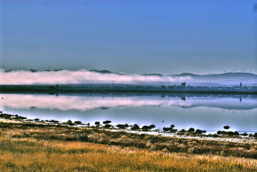 Citas para fotografiar el otoño: la laguna de Gallocanta, Aragón