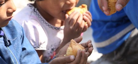 Los defensores de los alimentos transgénicos contraatacan: 