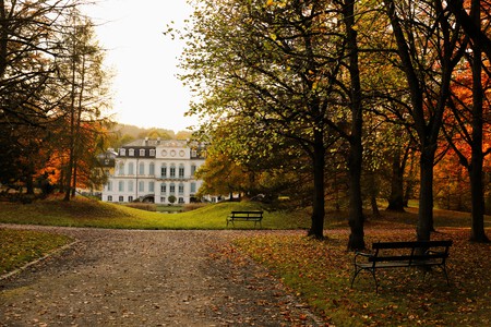 Pexels Christina99999 29239842