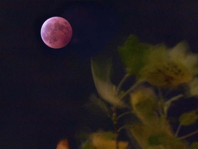 Donde Como Cuando Eclipse Lunar Julio 2018 2