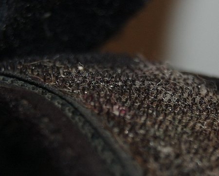 La naturaleza nos da el diseño perfecto