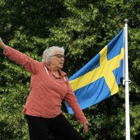 España tiene aún mucho que aprender para mejorar el sistema de pensiones. Suecia podría ser el país al que copiar por su sostenibilidad y aceptación social 