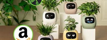 Esta maceta inteligente es el adorno que tu hogar necesita, y lo mejor es que te ayudará a cultivar tus plantas 