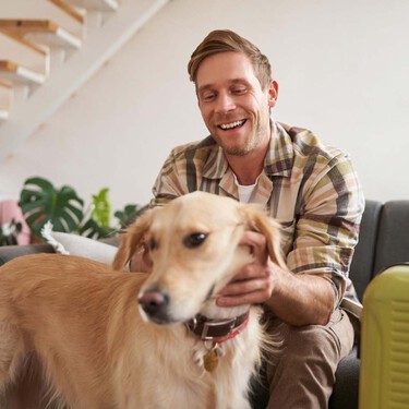 Llega la 'perritasa': anuncian en Italia un impuesto de 100 euros a perros residentes y 1,5 euros para perros turistas 