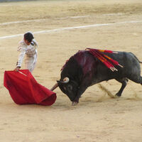 Si la pregunta es cómo frenar la sangría de la España vaciada, en Cantabria lo tienen claro: subvencionando fiestas con toros
