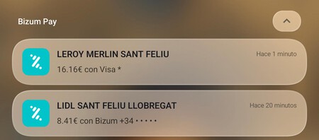 Diferencia de pagos desde la misma app Bizum Pay: Lidl acepta Biu, Leroy Merlín no. La compatibilidad con las tiendas está mejorando