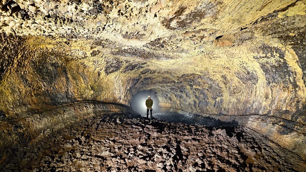 Bajo Tenerife hay un mundo que lleva 27.000 años aislado: dentro de esta cueva viven 190 especies