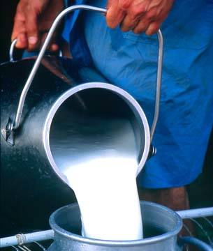 Resultado de los análisis: el 10% de las muestras de leche china, contaminadas