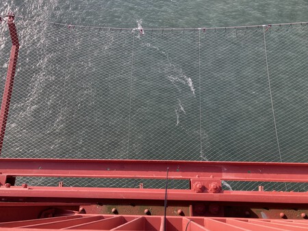 Suicide Net On The Golden Gate Bridge