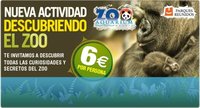 Descubriendo el Zoo de Madrid, una actividad muy interesante