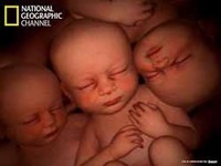 Estreno del documental "En el vientre materno: gemelos, trillizos y cuatrillizos"