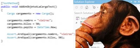 Reflexiones de futuro para un programador .NET
