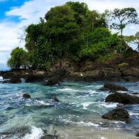 Alerta: las zonas de Colombia bajo advertencia tras el grave terremoto de magnitud 8,8 que sacudió a Rusia