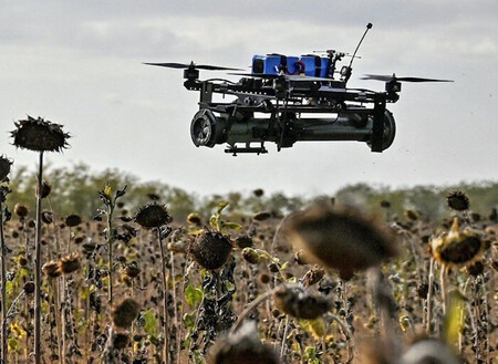 Drone