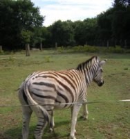 Vacaciones con niños: Marcelle natureza, un Zoo especial para la familia