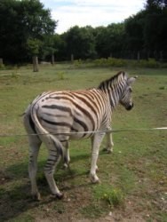 Vacaciones con niños: Marcelle natureza, un Zoo especial para la familia